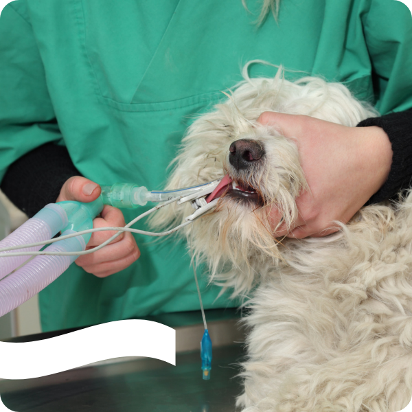 Home diseño sin título (30)