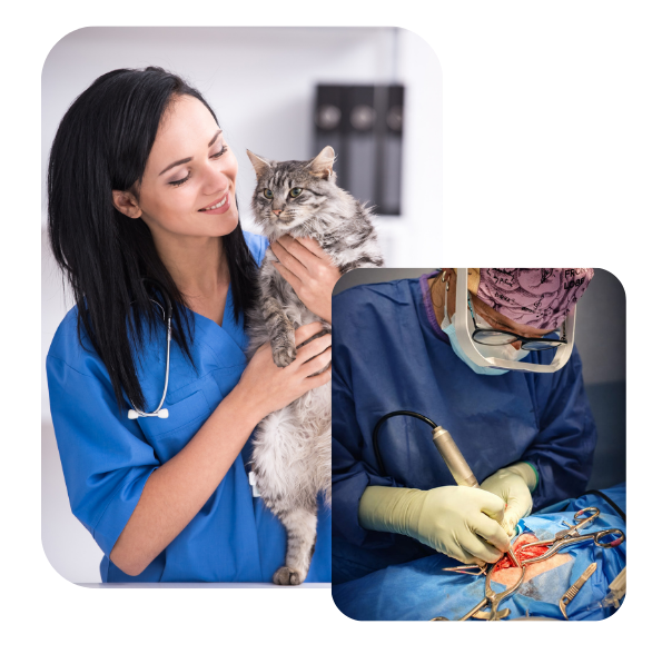 Home diseño sin título (34)