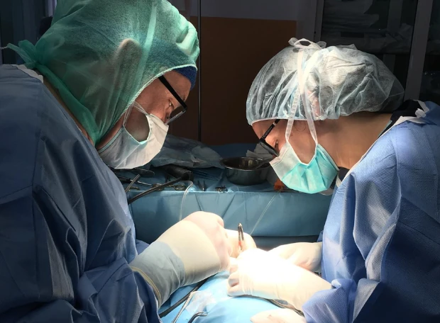 Tratamiento clínico y quirurgico cirugia veterinaria